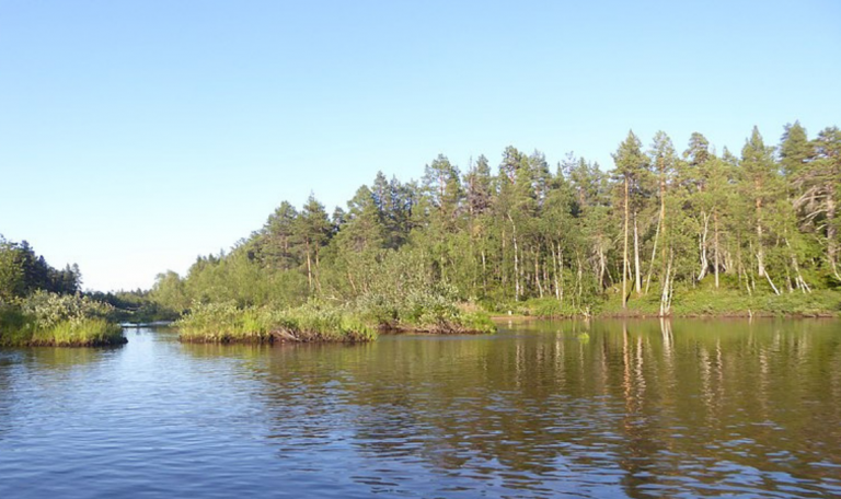 Algunas de las actividades que podréis realizar en los parajes del Lemmenjoki son largas caminatas a lo largo de sus diversos caminos marcados.